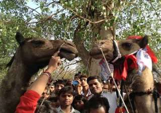 kallo and gopal getting married in a ceremony -... kallo and gopal getting married in a ceremony -...