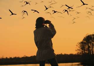 Bird watching - India TV Bird watching - India TV