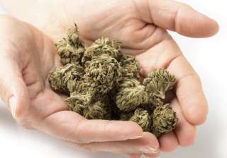 This country has approved the medicinal use of... This country has approved the medicinal use of...