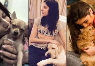 These Bollywood and TV celebrities with their... These Bollywood and TV celebrities with their...