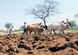 Drought Aid - India TV Drought Aid - India TV