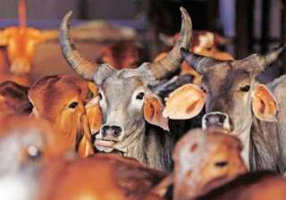 The amended law comes ahead of the Assembly... The amended law comes ahead of the Assembly...