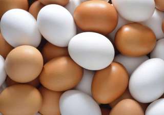 Eggs made of plastic find their way into Kolkata... Eggs made of plastic find their way into Kolkata...