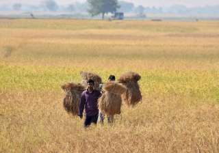 Analysts see farm loan waivers touching 2 per... Analysts see farm loan waivers touching 2 per...