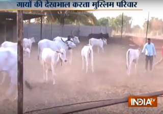 A Muslim family in Pune has been running a cow... A Muslim family in Pune has been running a cow...
