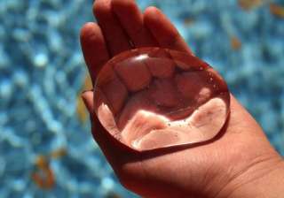 These ‘edible’ water bottles are a real thing - India TV These ‘edible’ water bottles are a real thing - India TV