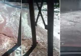 fruit juice flood - India TV fruit juice flood - India TV