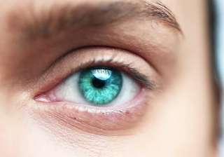 synthetic retina - India TV synthetic retina - India TV