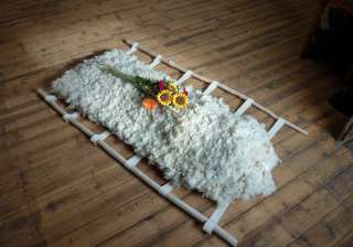 promession funeral method - India TV promession funeral method - India TV