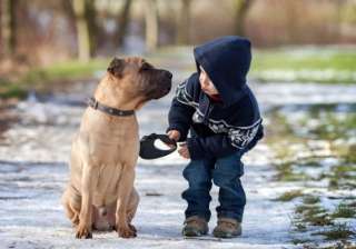 health benefits of pet - India TV health benefits of pet - India TV