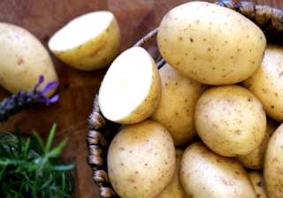 potatoes healthy or not - India TV potatoes healthy or not - India TV