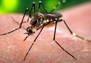 Delhi reports over 600 cases of malaria,... Delhi reports over 600 cases of malaria,...