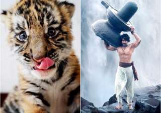 Baahubali born in Odisha - India TV Baahubali born in Odisha - India TV