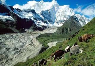 tibet, grasslands, china, US, indiatv - India TV tibet, grasslands, china, US, indiatv - India TV