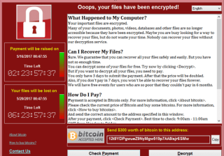 WannaCry screen after infecting - India TV WannaCry screen after infecting - India TV