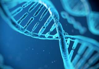 dna dna