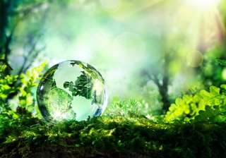 World Environment Day - India TV World Environment Day - India TV
