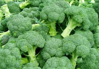 broccoli diabetes cure - India TV broccoli diabetes cure - India TV