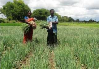 agriculture, farm loan waiver - India TV agriculture, farm loan waiver - India TV