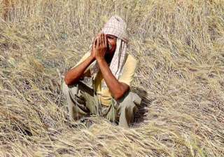 Three farmers' suicides reported in Madhya... Three farmers' suicides reported in Madhya...