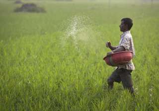 GST Council cuts tax rate on fertiliser to 5 per... GST Council cuts tax rate on fertiliser to 5 per...
