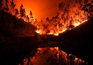 57 dead, 60 injured as forest fire rages in... 57 dead, 60 injured as forest fire rages in...