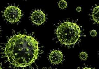 H1N1 virus swine flu - India TV H1N1 virus swine flu - India TV