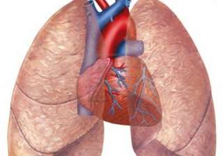 lung cancer drug - India TV lung cancer drug - India TV