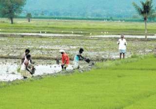 The study was published in the Journal of Rural... The study was published in the Journal of Rural...