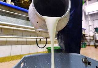Representational pic - Maha hikes milk... Representational pic - Maha hikes milk...