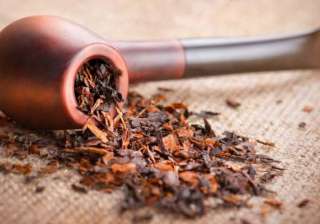 tobacco - India TV tobacco - India TV