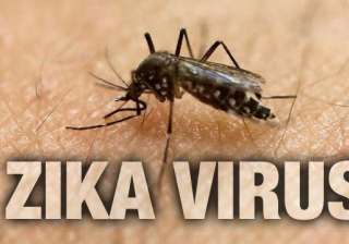 zika virus myths zika virus myths