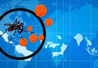 Effect of Zika Virus to your body - India TV Effect of Zika Virus to your body - India TV