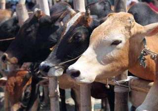 Supreme Court suspends Centre’s nationwide ban... Supreme Court suspends Centre’s nationwide ban...