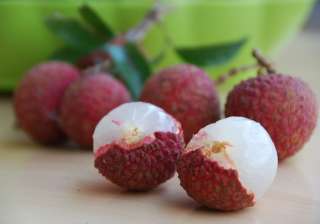 lychee deaths banned pesticide endosulfan lychee deaths banned pesticide endosulfan