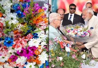New Israeli flower named after PM Modi - India TV New Israeli flower named after PM Modi - India TV