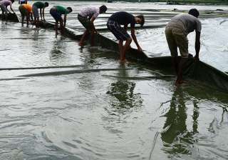 A file image of Sri Lanka groundstaff. - India TV A file image of Sri Lanka groundstaff. - India TV