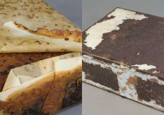 Fruitcake, Antarctica Fruitcake, Antarctica