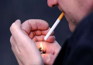 nicotine in cigarettes can curb smoking nicotine in cigarettes can curb smoking