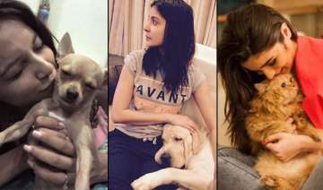 These Bollywood and TV celebrities with their... These Bollywood and TV celebrities with their...
