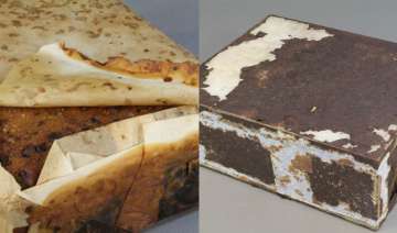 Fruitcake, Antarctica Fruitcake, Antarctica