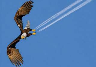 30 most perfectly timed photos ever part ii -... 30 most perfectly timed photos ever part ii -...