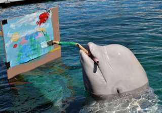 amazing photos from around the globe part i -... amazing photos from around the globe part i -...