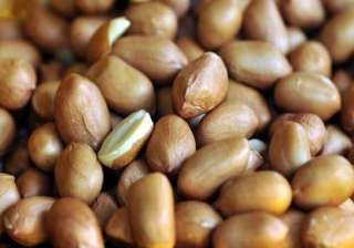 groundnut oil regains on renewed demand - India TV groundnut oil regains on renewed demand - India TV