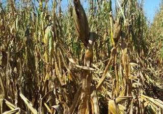 rbi instructs banks to restructure farm loans -... rbi instructs banks to restructure farm loans -...