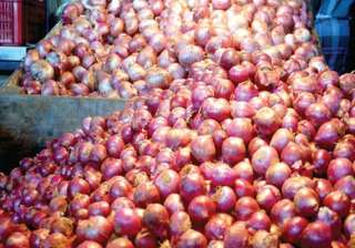 nafed floats tender to import onions amid high... nafed floats tender to import onions amid high...