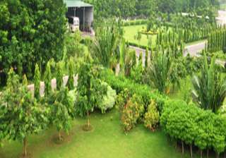 tata steel observes world environment day - India... tata steel observes world environment day - India...