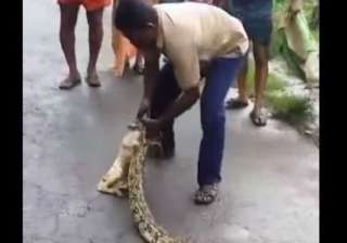 watch kerala man squeezing out a goat from a... watch kerala man squeezing out a goat from a...