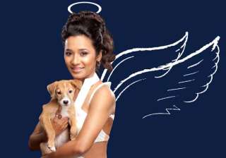 gulaab gang actress tannishtha turns angel for... gulaab gang actress tannishtha turns angel for...