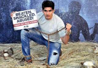 vijender singh asks nation to boycott animal... vijender singh asks nation to boycott animal...